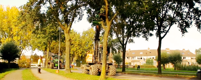 Heeft u een boom die weg moet ?