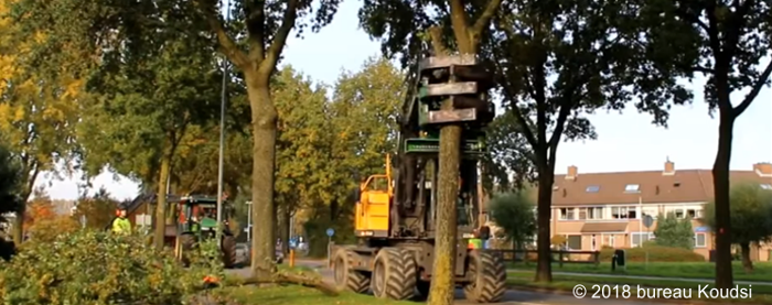 Bomen Rooien