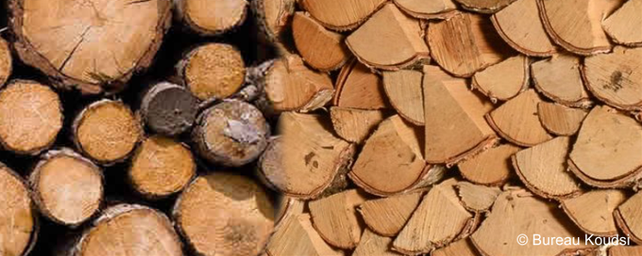 Aleven Boomverzorging U kunt ook bij ons terecht voor haardhout. Neem contact met ons op voor de prijzen.