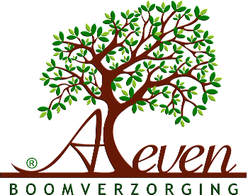 De dienst van Aleven boomverzorging : Boomaanplanting, Boomonderhoud, Snoeien, Begeleidingssnoei, Onderhoudssnoei, Knotten – Kandelaberen, Boomcontroles (VTA), Boomverwijdering, Omgewaaide bomenverwijdering, Stobbefrezen, Bosfrees, Boomverwerking, Snoeihoutverwerking, Haardhout.